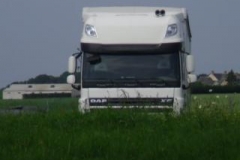 IMG-20141028-WA0000